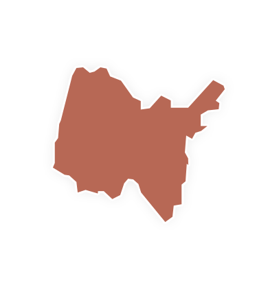 AIN(01)